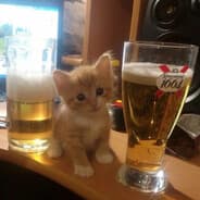 в саратове утро