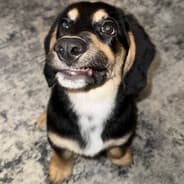 Franklin25(DMB & JONJON student)