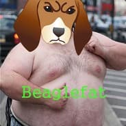 Beaglefat