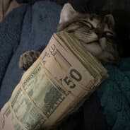 /ᐠ - ˕ -マ  ᶻ 𝗓 𐰁