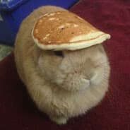 Lil Chicken Noodle<3