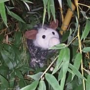 Chew Toy Enrichment Erotica :3