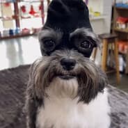 my hot wife from taiwan