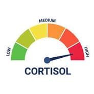 High Cortisol