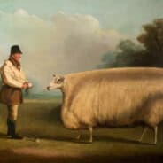 flexin (statlocker.gg)