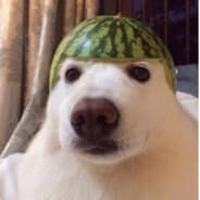 Trương Văn Cam 1dollar