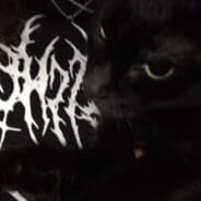 flmslsl BAN MCginnis